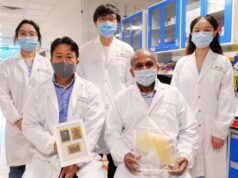 Ученые создали многоразовую экобумагу из пыльцы подсолнуха