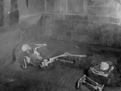 Ученые сумели секвенировать геном древнего жителя погибшей Помпеи