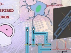 В МФТИ создали уникальный искусственный нейрон на базе сверхпроводников