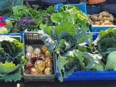 Некоторые пищевые культуры в городе растут лучше, чем на ферме