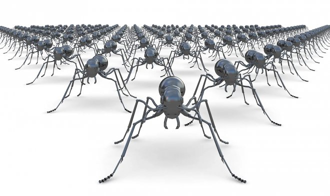 Немецкие ученые сумели подсчитать всех муравьев на Земле 