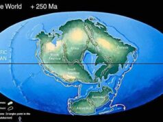 Через 300 миллионов лет на Земле появится новый суперконтинент Амазия