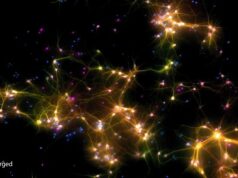 Клетки мозга в пробирке обрели подобие разума и научились играть в пинг-понг