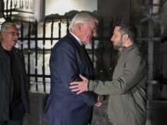 Мир, который хочет Путин, может вызвать новую войну – Штайнмайер