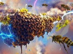 Рои насекомых генерируют столько же электричества, сколько целое грозовое облако