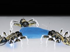 Микроботы научились находить путь из ловушки, просто копируя поведение живых муравьев