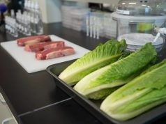 Спрей с вирусами безопасно очистит продукты от бактерий