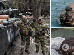 Наступление с Беларуси: на Волыни бобры помогли украинским военным