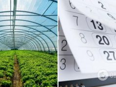 Посевной календарь на январь-2023: какие дни будут суперплодородными