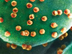 Ученые обнаружили первого в мире вирояда – живое существо, которое питается вирусами