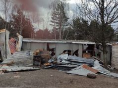 В Киевской области отстроят разрушенный приют для животных за почти 2 млн грн