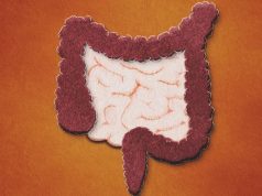 Ученые предупреждают: микрофлора человеческого тела вымирает — и это несет большие проблемы