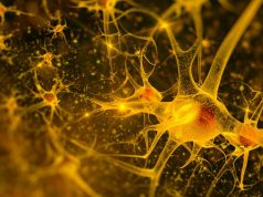 В Китае у 19-летнего юноши диагностировали болезнь Альцгеймера