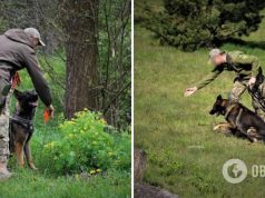 »Минно-розыскные функции в действии»: пограничники показали, как служебные собаки помогают разминировать территорию. Фото