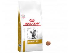 Почему для кошек выбирают корм Royal Canin