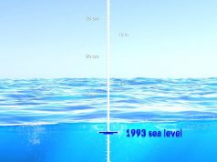 Анимация НАСА показала, как поднялся уровень моря за последние 30 лет