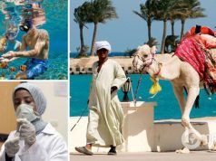 Россиян на египетских курортах атакуют опасные комары: вернувшихся туристов проверяют и просят отдыхать на дачах