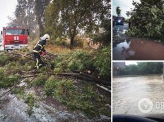 Ужгород накрыл шторм: повалены десятки деревьев, затоплены улицы. Фото и видео