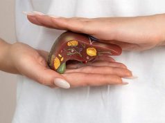 В РХТУ предложили лечить цирроз печени с помощью аэрогеля