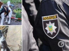 У полиции Одессы появился свой Патрон: это кот с »сюрпризом» для последнего оккупанта. Фото