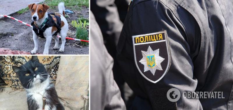 У полиции Одессы появился свой Патрон: это кот с ''сюрпризом'' для последнего оккупанта. Фото