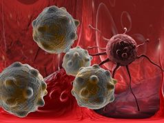 В Сеченовском университете выяснили, как вирусы могут бороться с опухолями