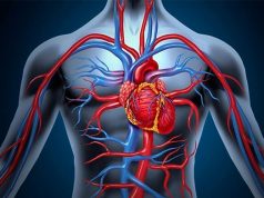 Самарскими учеными найден простой метод предупреждения инфаркта
