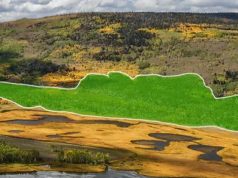 Ученые подслушали, о чем говорит самое большое существо на Земле