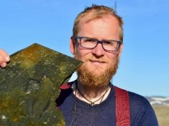 В Гренландии нашли гигантского хищного червя возрастом полмиллиарда лет