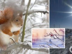 Вместо снега будут дожди: в Украину после морозов ворвется потепление, синоптик назвала дату. Карта