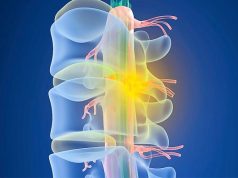 Ученые из Новосибирска провели синтез олигонуклеотидов для борьбы с СМА