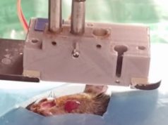 Американские ученые впервые вырастили живую кожу прямо на ране методом биопечати