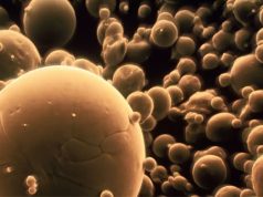 В Севастопольcком госуниверситете изобрели перспективный нанопорошок