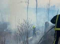 На Закарпатье спасатели потушили масштабный пожар: горело 6 га леса. Фото и видео