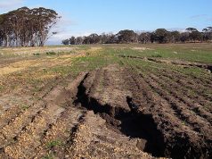 Ученые МГУ предложили бороться с эрозией почвы при помощи полимеров