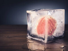 Фрагмент человеческого мозга сохранил работоспособность после заморозки на 18 месяцев