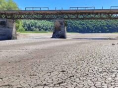 Днестр и Збруч обмелели до дна, умерла рыба и мидии: как это связано с российскими обстрелами и готовиться ли к катастрофе