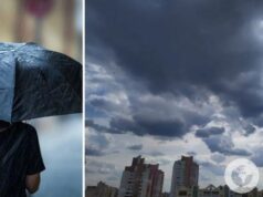 Кратковременные дожди, местами туманы: синоптики дали прогноз погоды на вторник, 25 июня