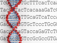 Ученые нашли суперорганизм, геном которого в 50 раз превосходит человеческий