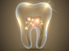 В сентябре начнутся испытания препарата для выращивания новых зубов