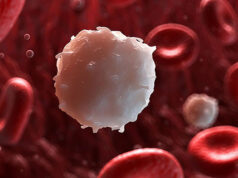 Нейросеть обучили определять уровень лейкоцитов с точностью до 90%