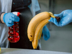 С «Фруктогелем» овощи и фрукты смогут храниться намного дольше