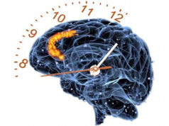 Скорость человеческой мысли оказалась всего 10 бит в секунду
