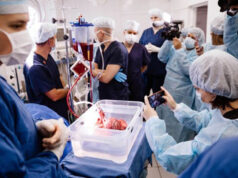 Новосибирские ученые придумали, как дольше сохранять донорские органы