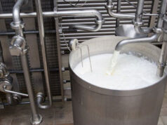 Новосибирские специалисты открыли вирус, сохраняющий молоко