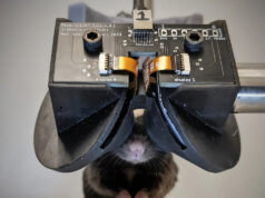 Научная гарнитура MouseGoggles погружает мышей в виртуальную реальность
