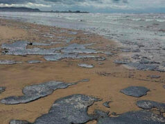 На Кубани выбрали самый эффективный способ очистки мазута