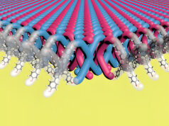 В США разработали сверхпрочную полимерную нанокольчугу