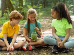 Лучшие детские лагеря: организация каникул с активностями, обучением и безопасностью