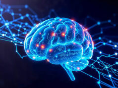 В Санкт-Петербурге научатся создавать нейроморфные компьютеры